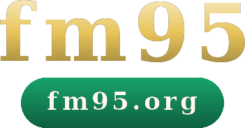 fm95 logo